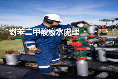 “對苯二甲酸廢水處理，綠色創(chuàng)新引領環(huán)保新篇章”